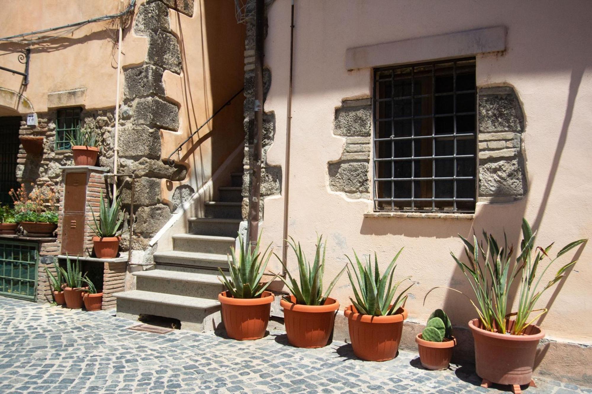 Finestra Sul Borgo Apartamento Trevignano Romano Exterior foto